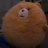 MrTimmyy
